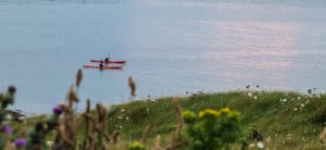 paddling on the sea