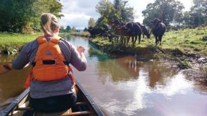 Peak Forest Canal; Bugsworth Basin to New Mills Marina