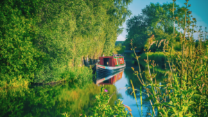 Chesterfield Canal: Worksop to Osberton Paddle Trail