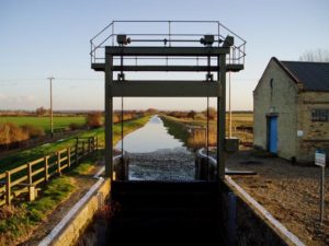 Wicken Fen, Cambridgeshire Lodes Paddle Trail