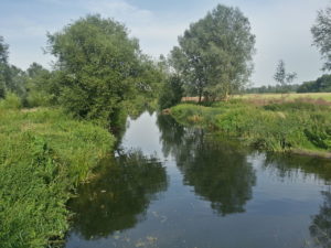 Chelmer and Blackwater Navigation, Chelmsford to Maldon Paddle Trail