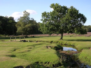 Beaulieu River: Bucklers Hard to Beaulieu Paddle Trail