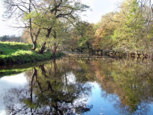 River Derwent – Darley Abbey to Derby Paddle Trail