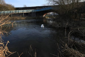 Kennet and Avon Canal – Newbury to Aldermaston Paddle Trail