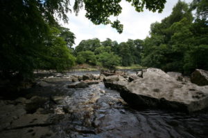 River Tees, Tees Barrage to Surtees Bridge & return Paddle Trail