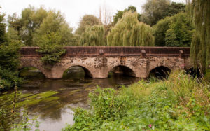 River Wey Navigation – Pyrford Lock to Weybridge Town Lock Paddle Trail