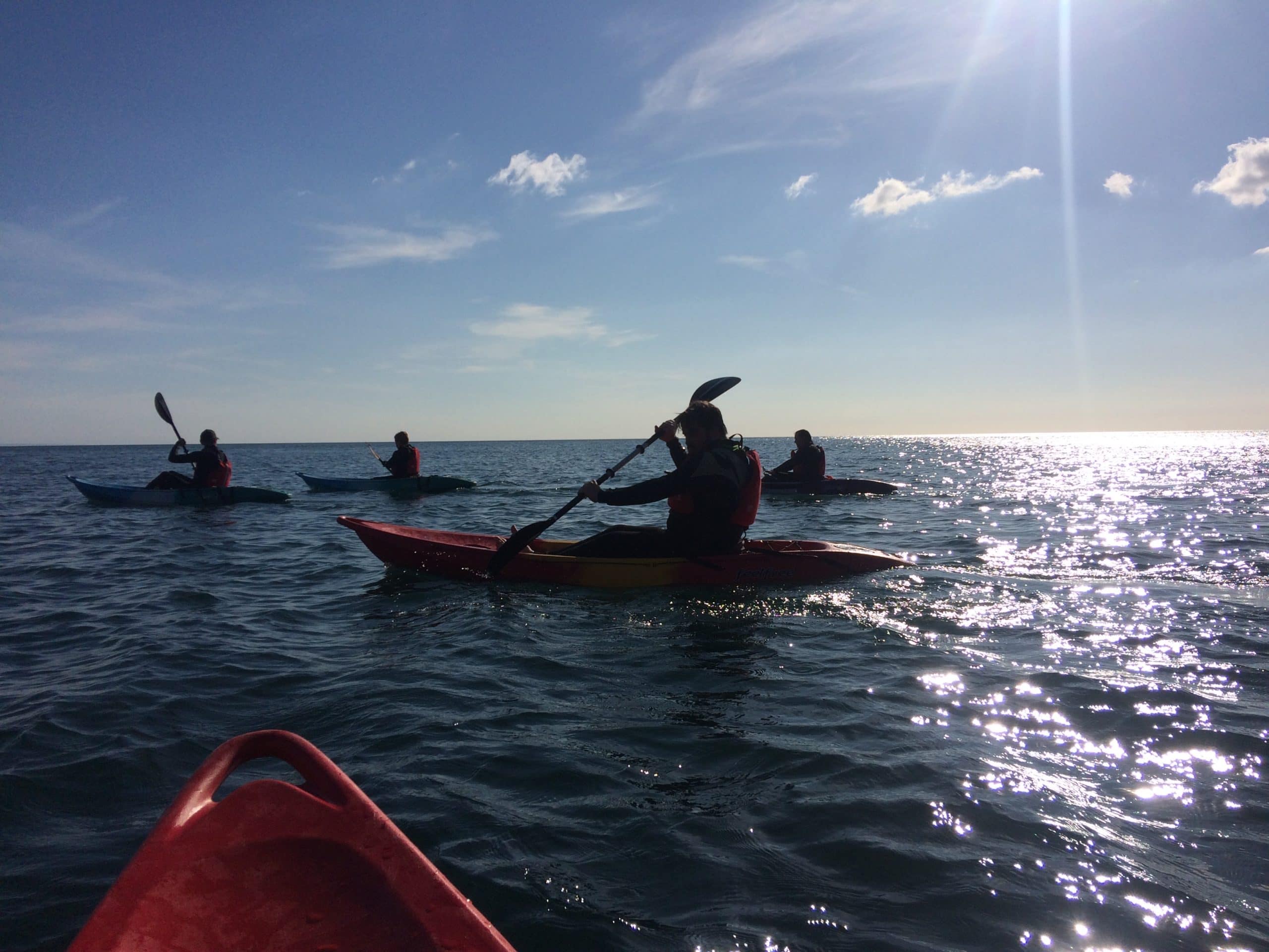 SEA TRIPS
