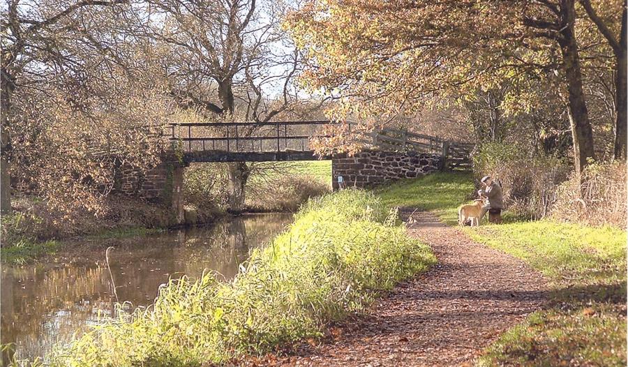 Grand Western Canal - South West of England