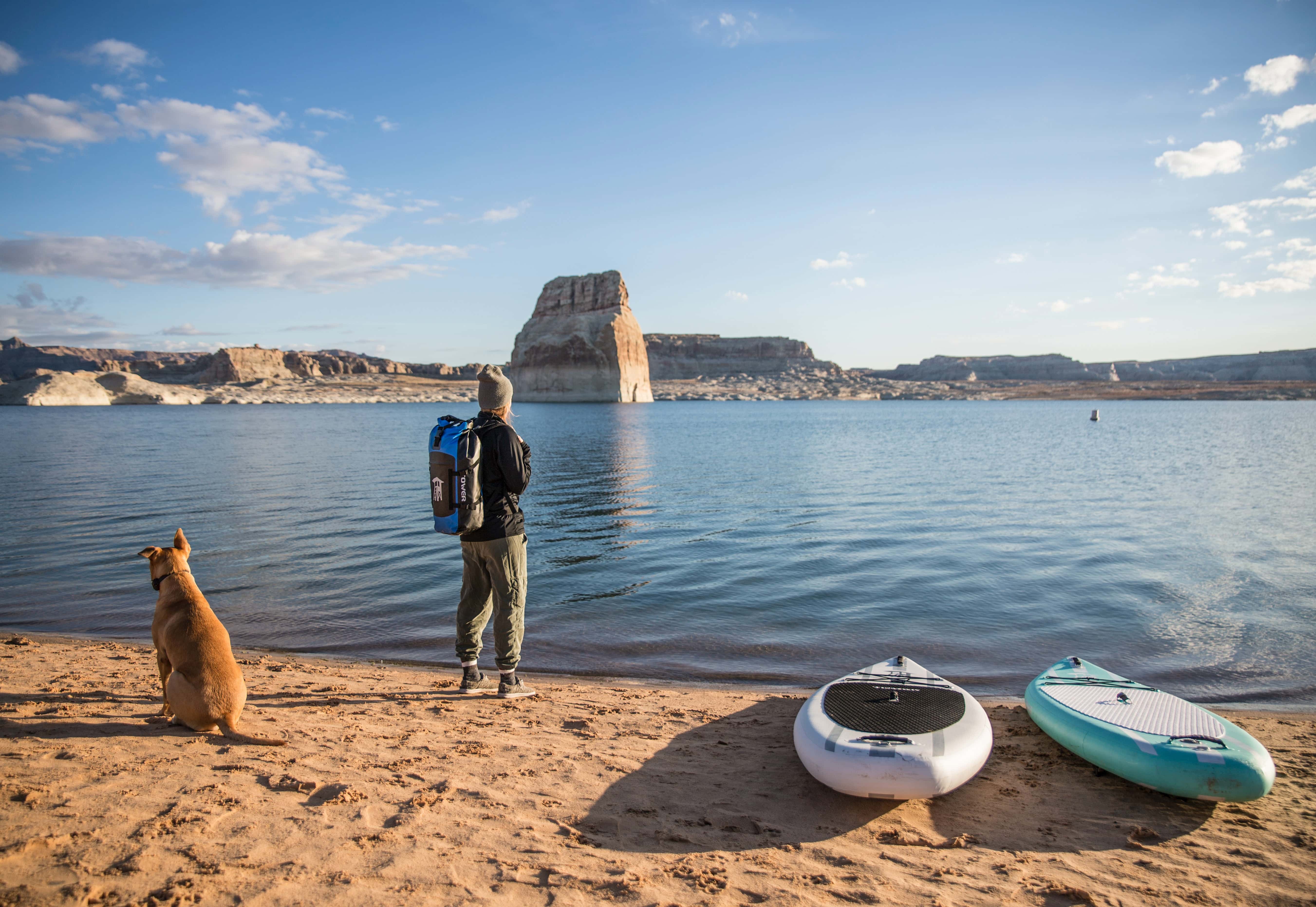 Getting your dog use to the paddle boarding being set up