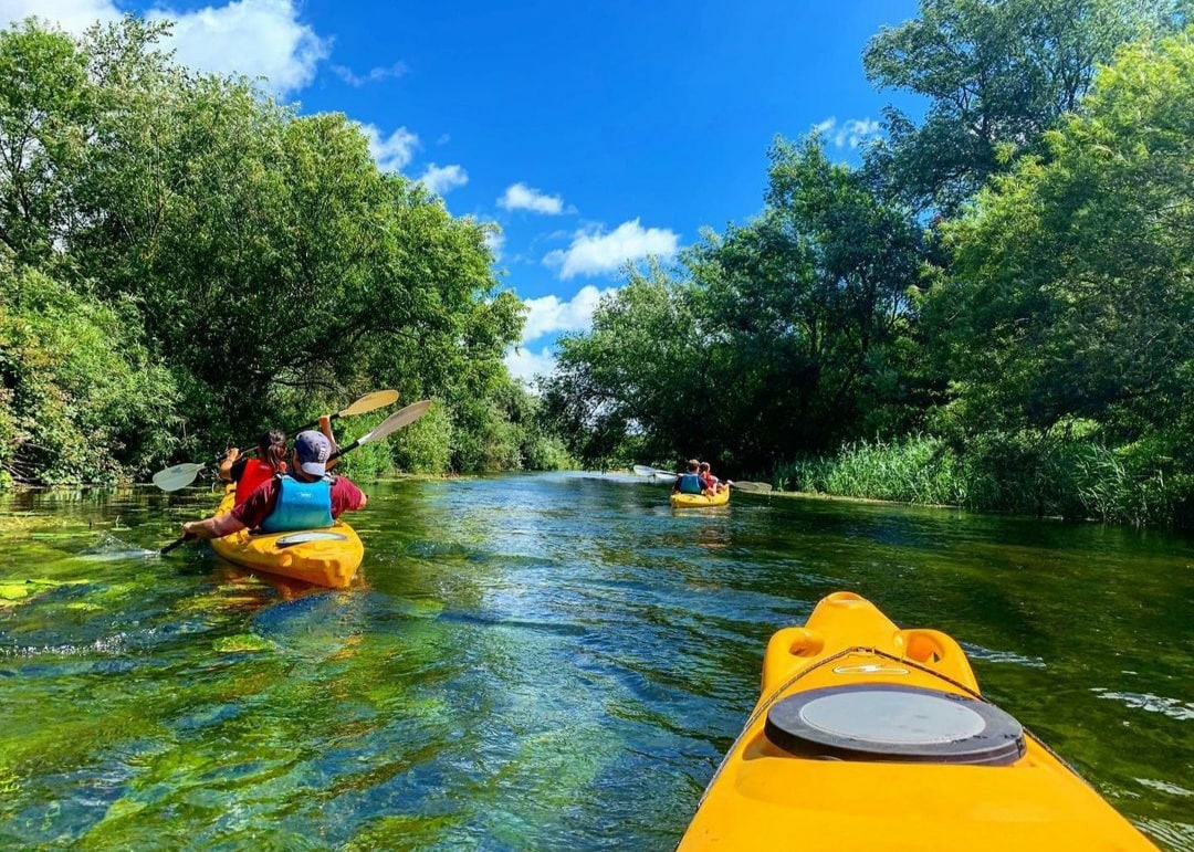 Canoe Wild Paddling Providers Near You