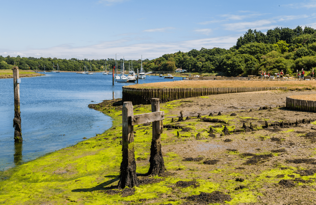 Beaulieu River sun