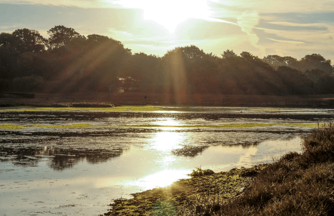 river hamble