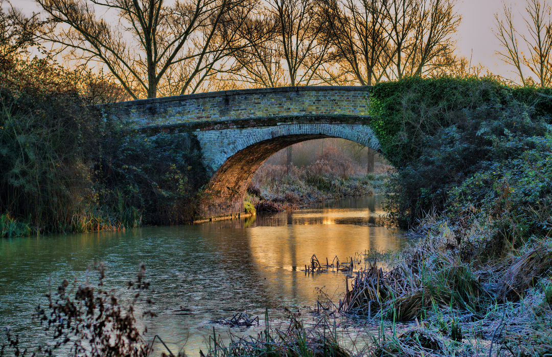 Chelmer and Blackwater Navigation