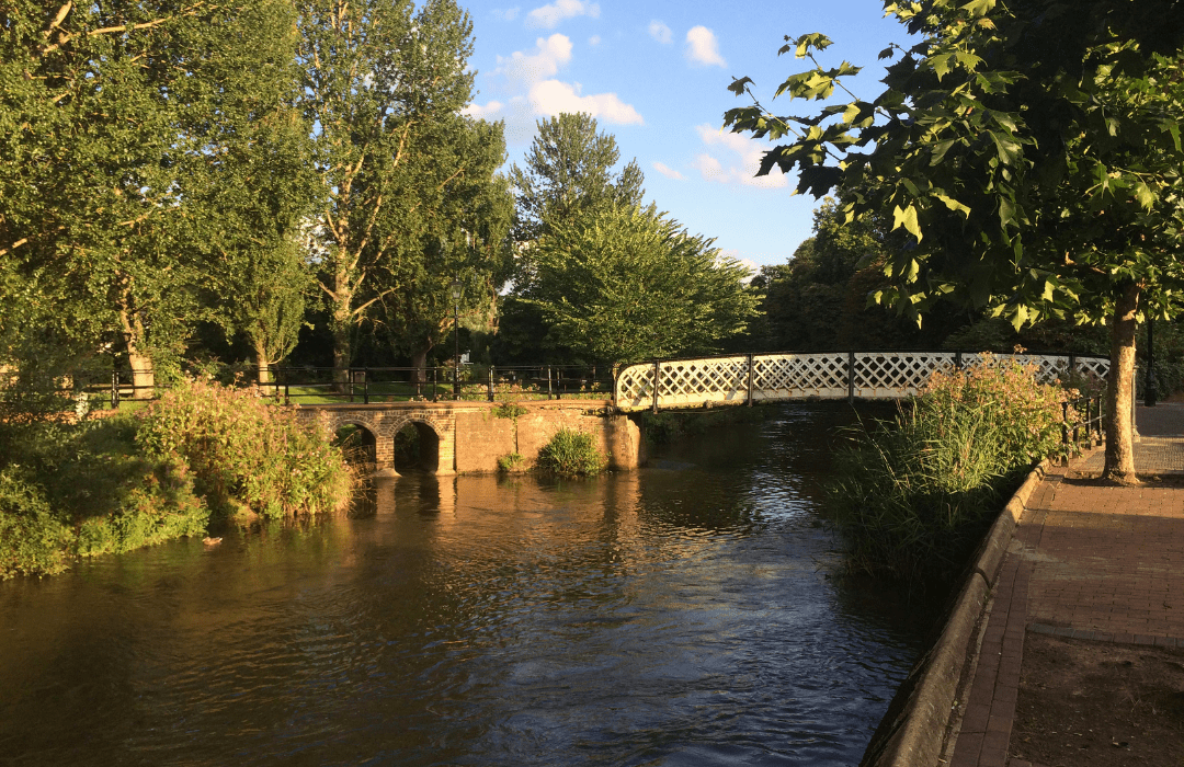 river wey bridge