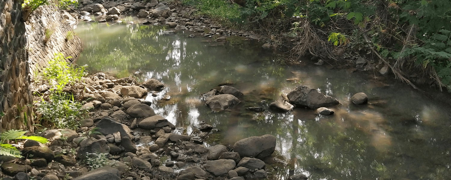 river low water levels