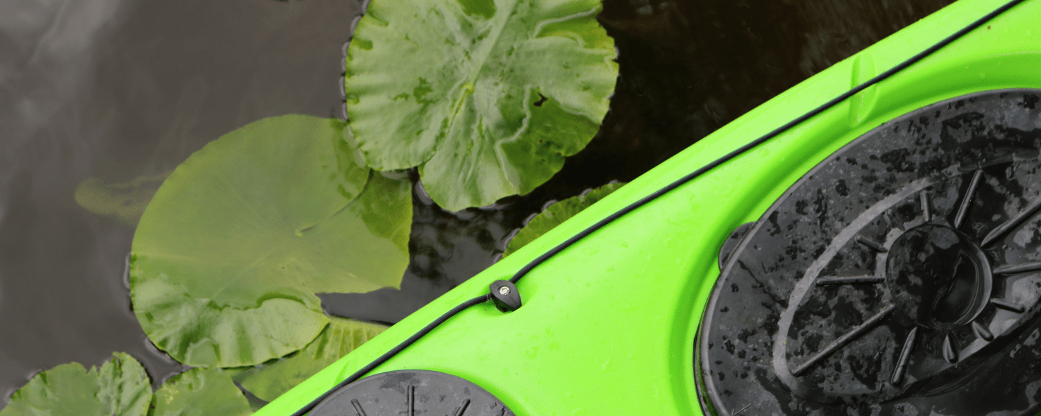 kayak in the water next to water lily leaves