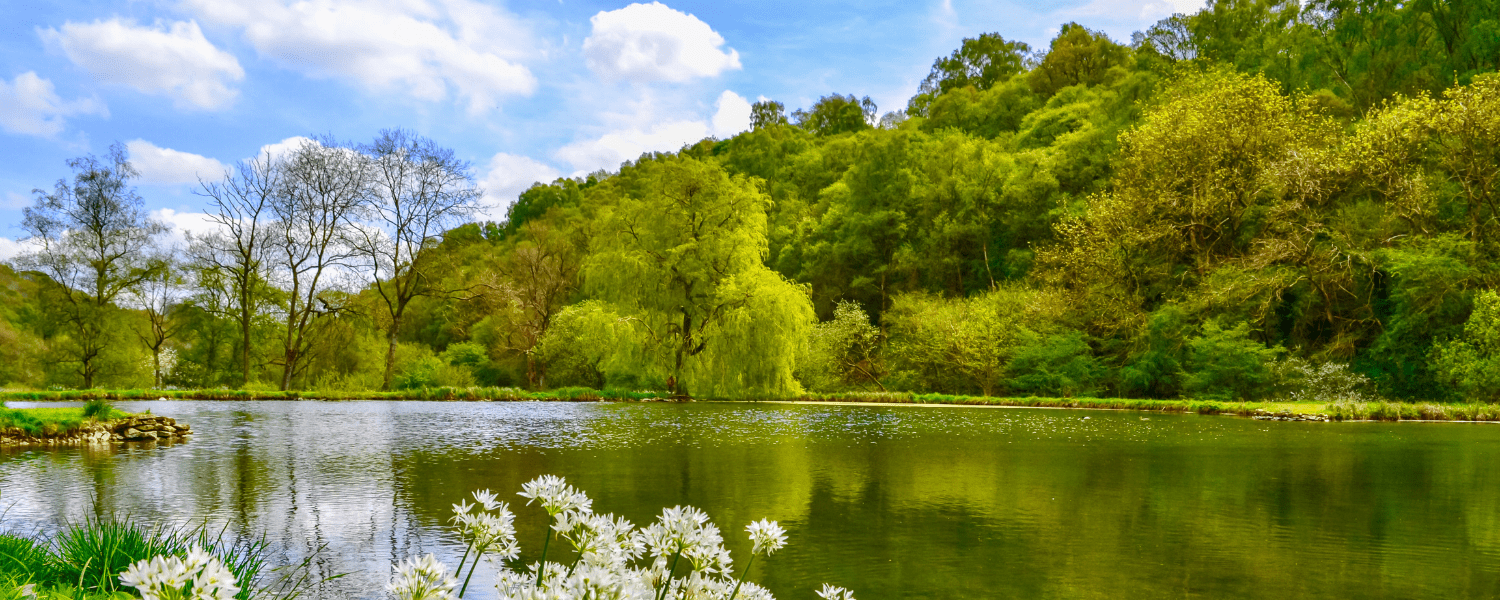 north york moors lake in a summers day