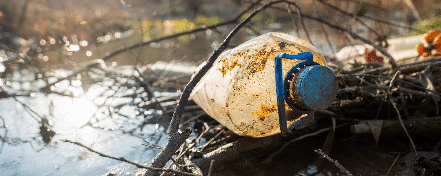 close up photo of a plastic bottle caught in vegetation in a river