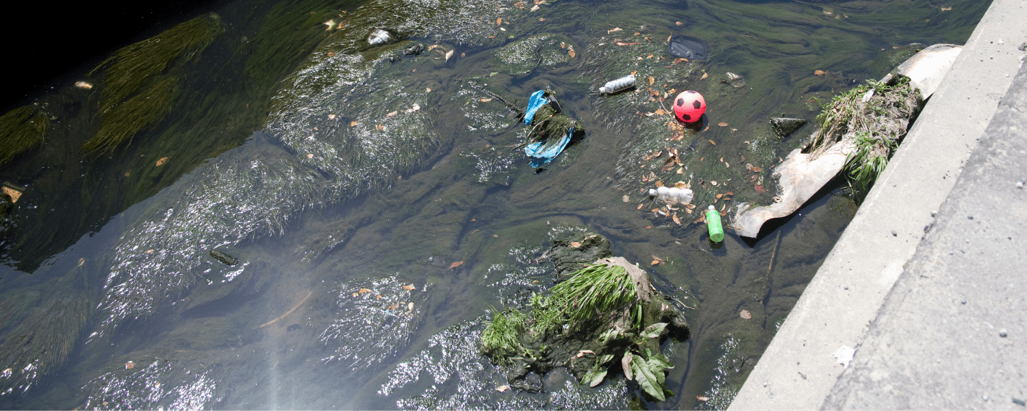 a canal with rubbish and overgrown with weed