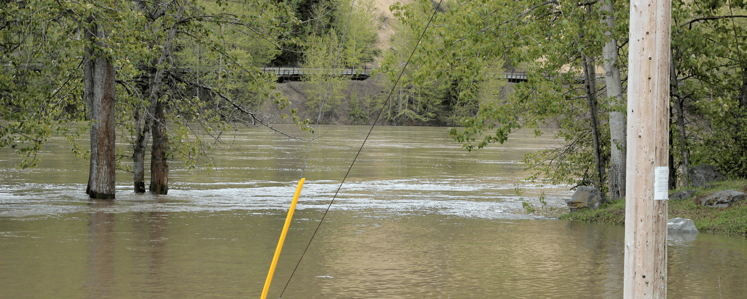 A calm looking river that has flooded. 