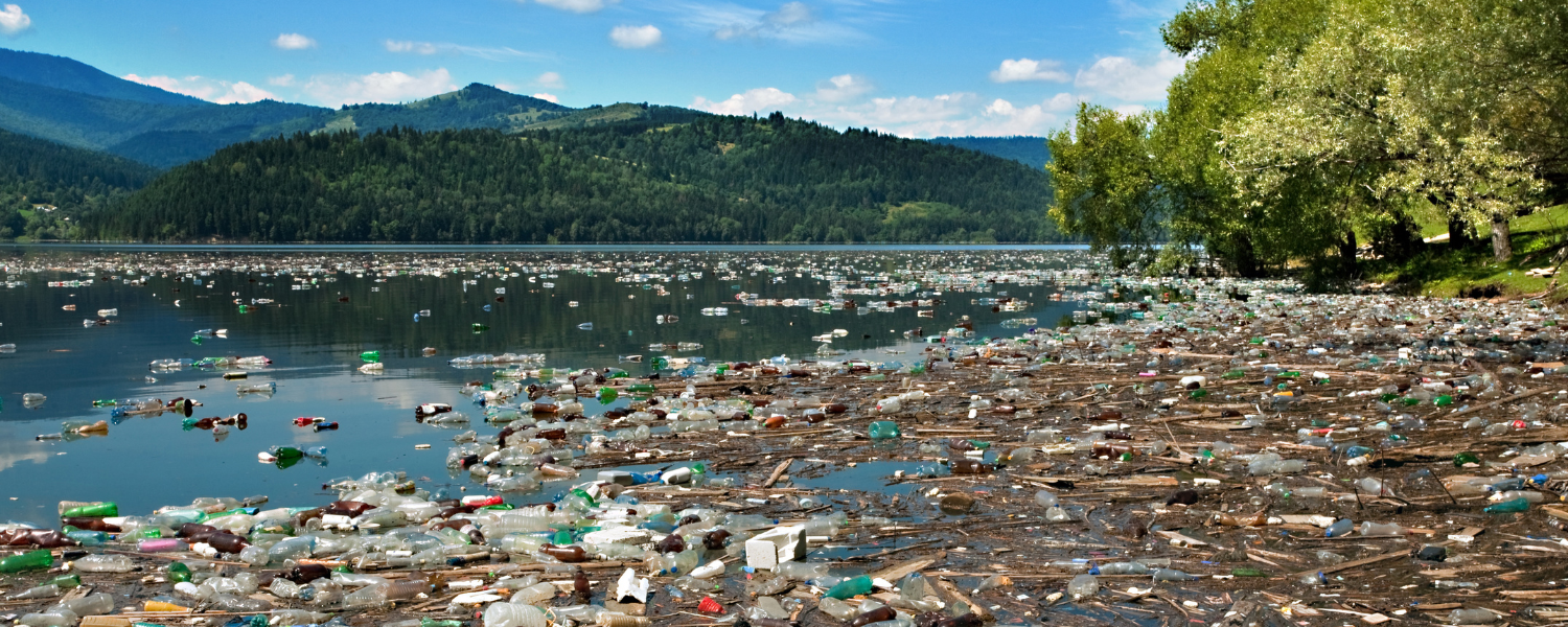 debris and rubbish washed up on the side of a lake that has flooded