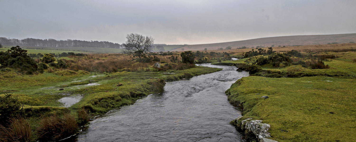 a river flowing through the wilderness of dartmoor