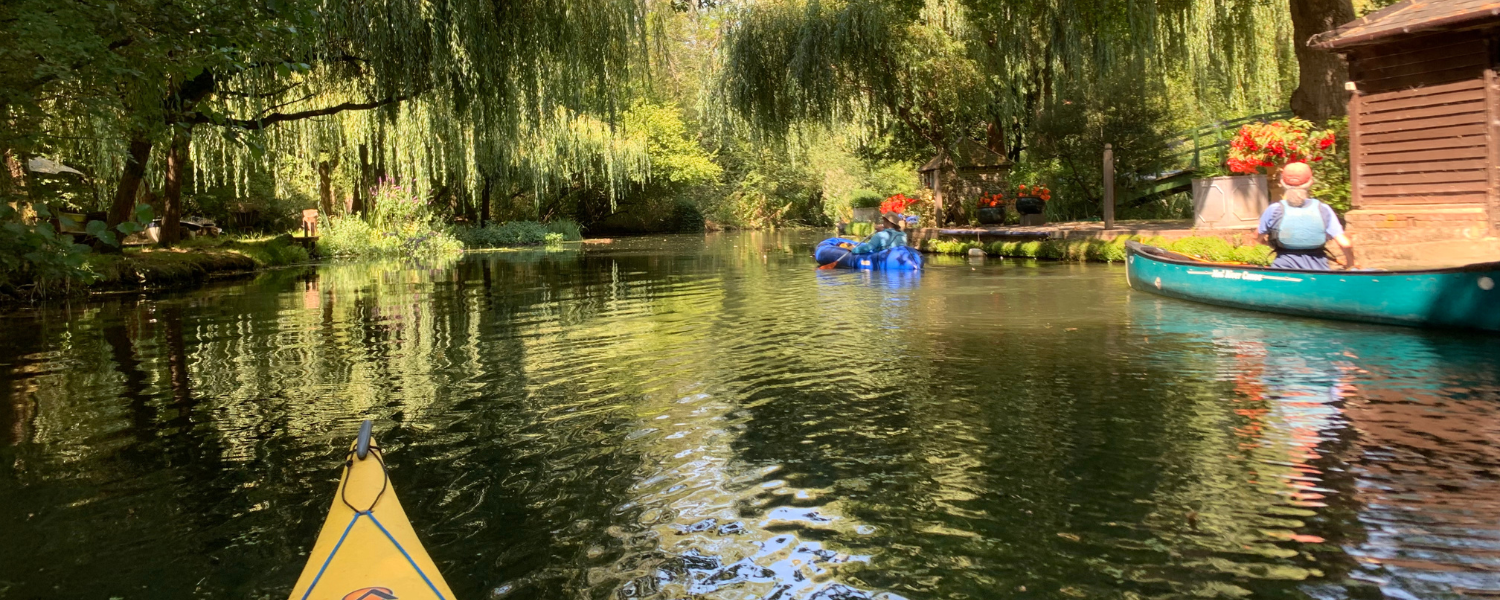 The front of a kayak going through a calm green area with other canoes