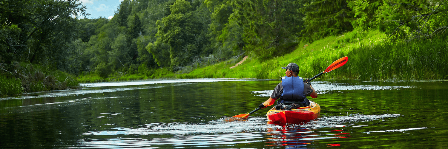 a man kayaking through a green forest