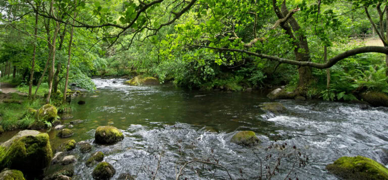 River Rothay Fishing UK Rivers | Canoeing | Kayaking | SUP | Find Routes and Launches