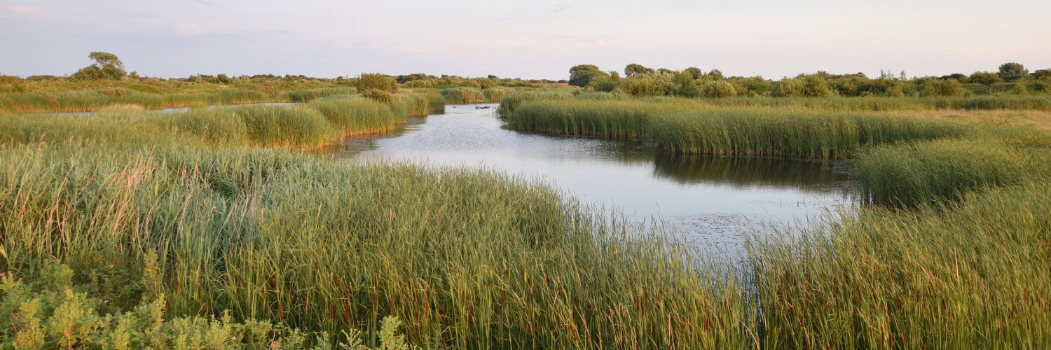 River Rother, East Sussex