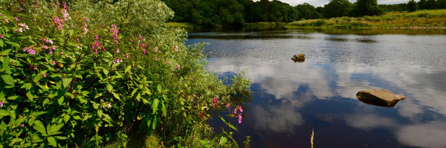 River Ribble